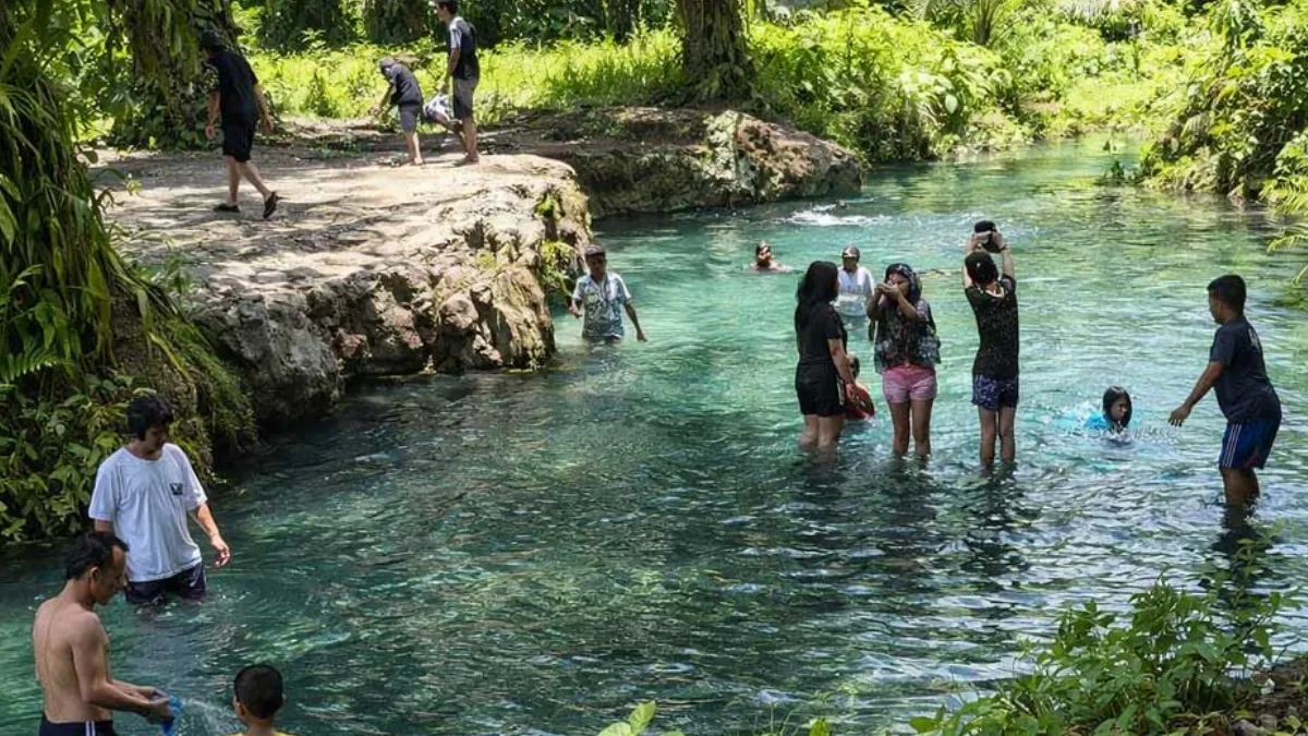 Andalas Forum VI 2026 Bahas Masa Depan Sawit di Tengah Insiden Tragis