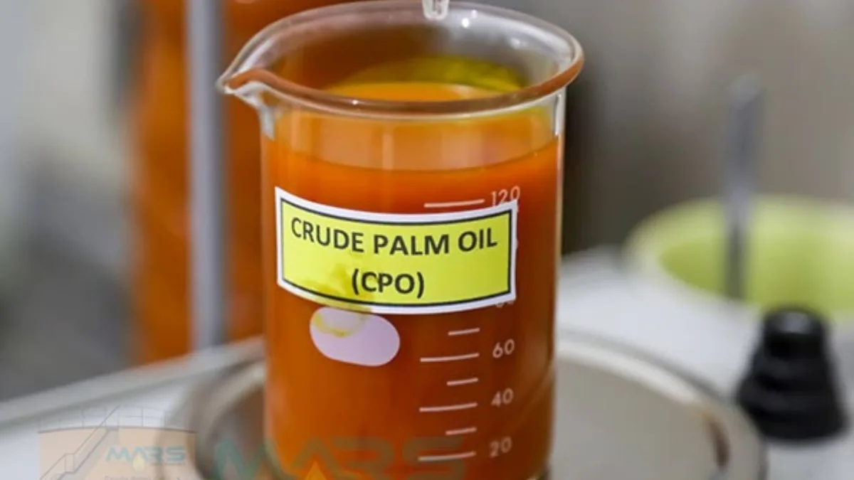 Kegiatan Sosial dan Penutupan Jalur Pendakian Menyambut Hari Raya di Magelang