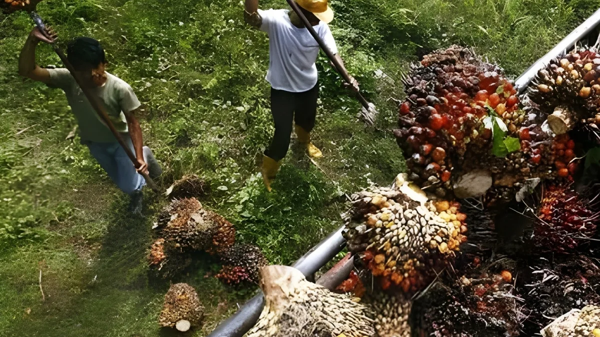 Forwatan dan Asosiasi Hilir Sawit Berikan Bantuan Sosial kepada Yatim Piatu