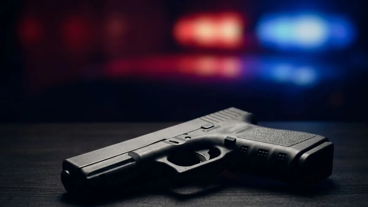 Luas Kebun Sawit Meningkat, Dampak Banjir di Sumatra Mengkhawatirkan