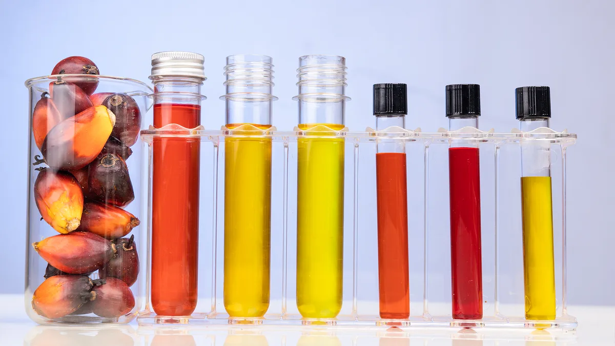 Kebijakan Hijau China dan Program B50 Dorong Perubahan di Industri Sawit