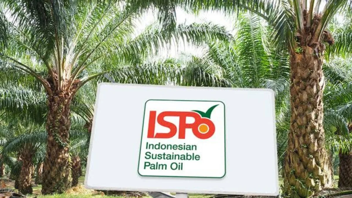 Pencapaian ISPO dan Kebijakan B50 Memperkuat Industri Sawit Indonesia