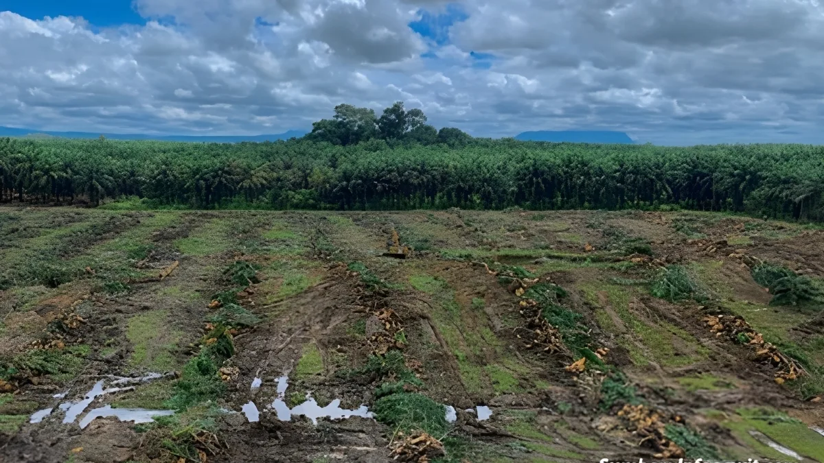 Wilmar dan Forwatan Edukasi Generasi Muda di Tengah Tantangan Industri Sawit