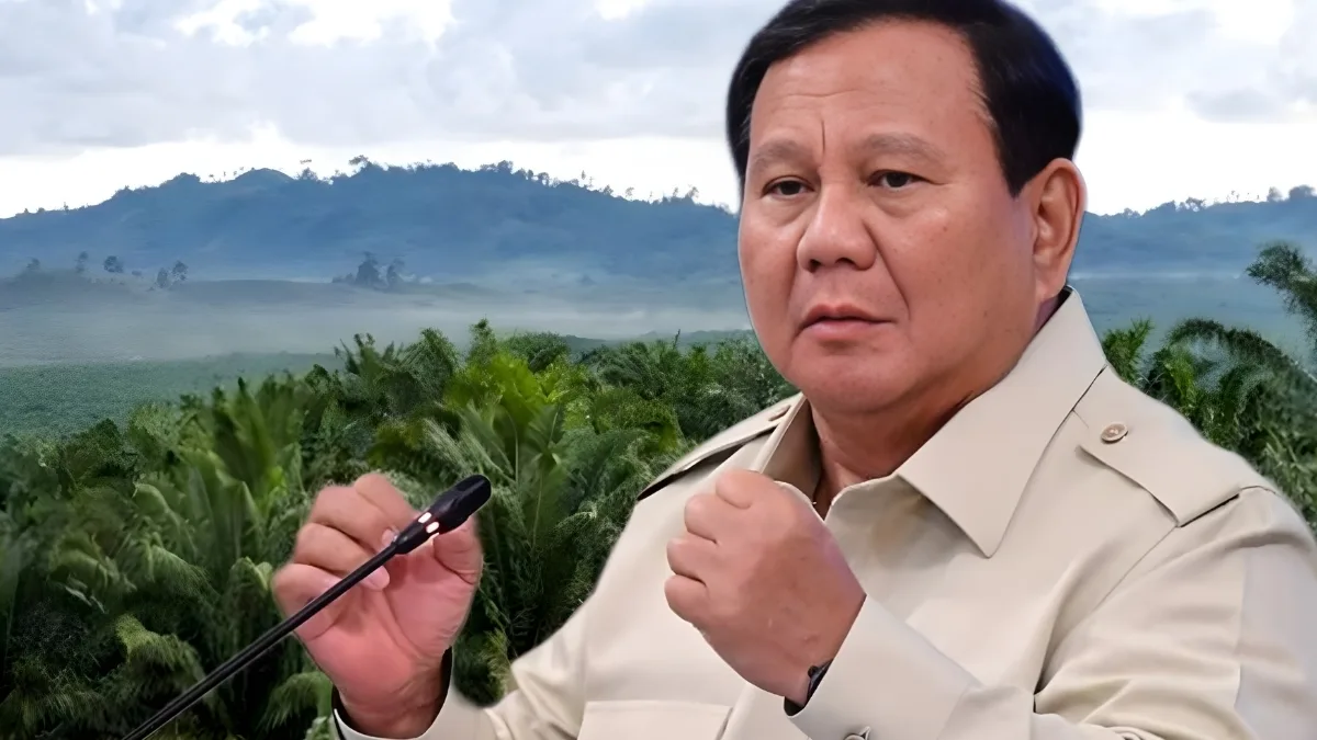 Reformasi Kebijakan dan Tantangan di Sektor Kelapa Sawit Indonesia